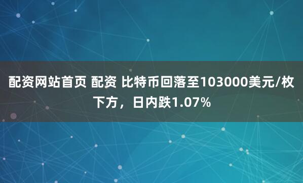 配资网站首页 配资 比特币回落至103000美元/枚下方，日内跌1.07%