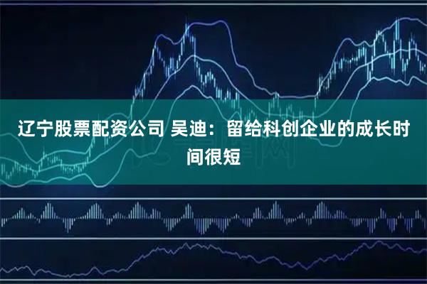 辽宁股票配资公司 吴迪：留给科创企业的成长时间很短